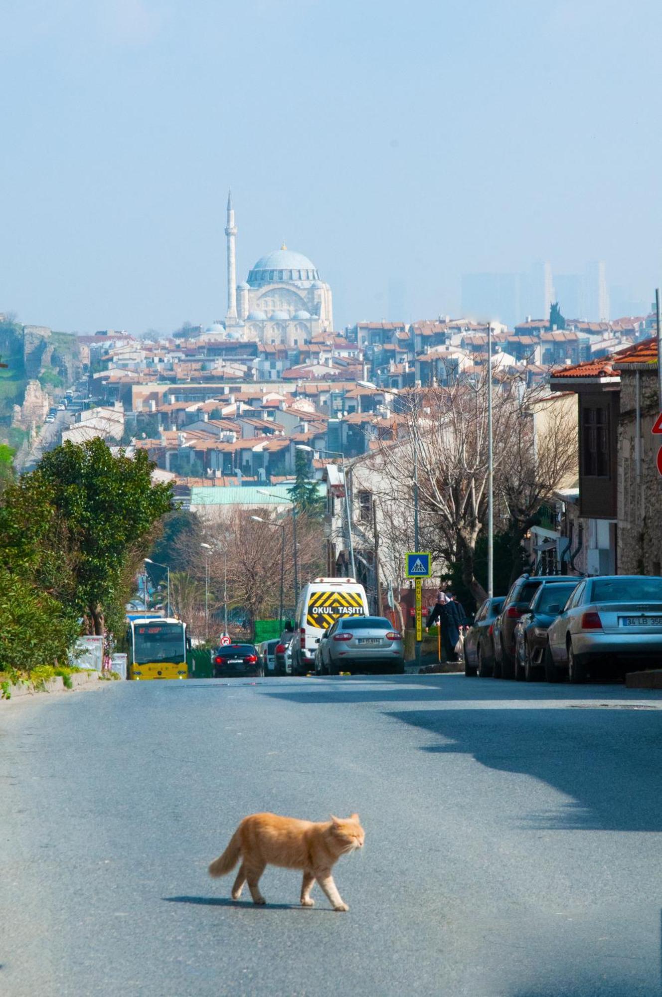 Istanbul Efes Hotel 外观 照片